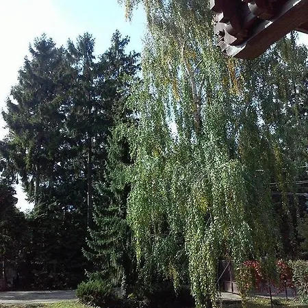 Patria Vendeghaz * Sopron